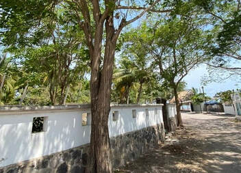 Exploring Your Dream Home: Properties for Sale in San Blas - Galvan Real Estate and Services